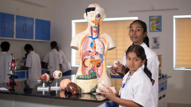 Elate International School Gallery