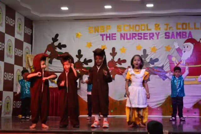 SNBP School And College Gallery