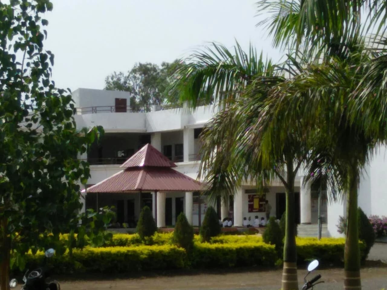 View All