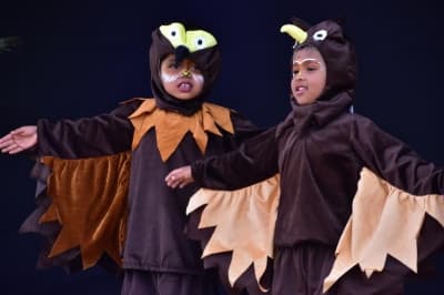 Delhi Public School Gallery