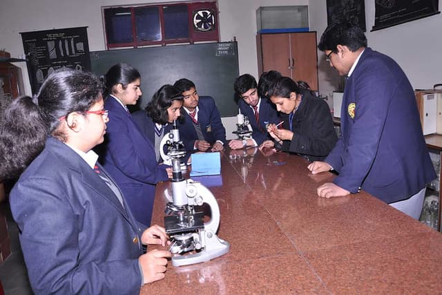 Amity International School Gallery