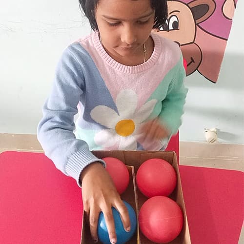 The Paradise International School Gallery