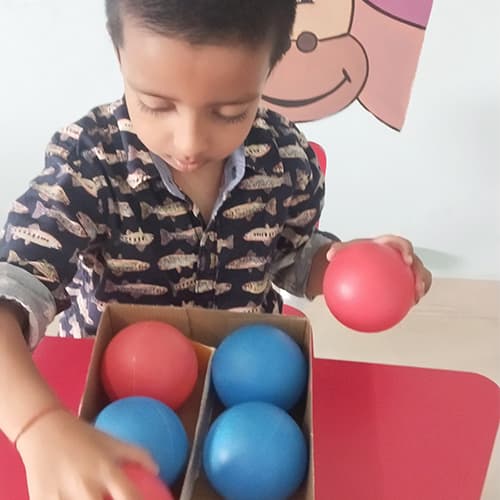 The Paradise International School Gallery