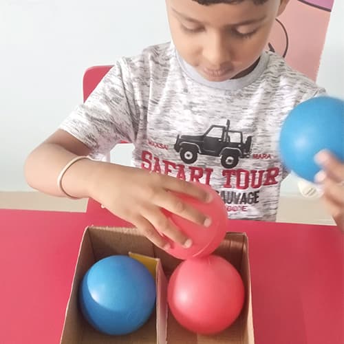 The Paradise International School Gallery