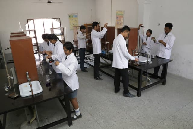 Olympus High Gallery