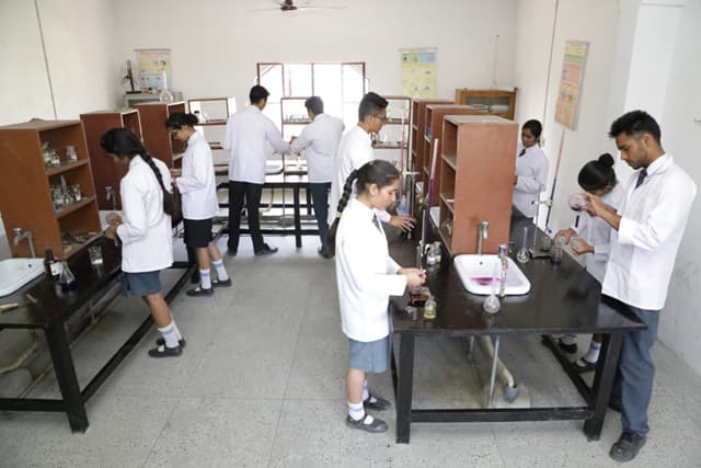 Olympus High Gallery