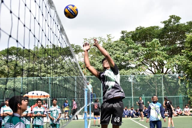 Brighton School Gallery