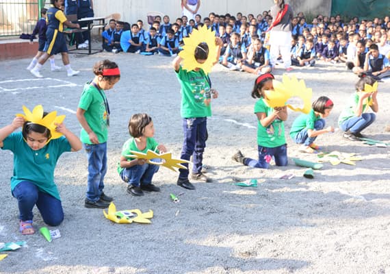 St Thomas Public School Gallery