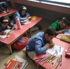 Sanskriti School Gallery