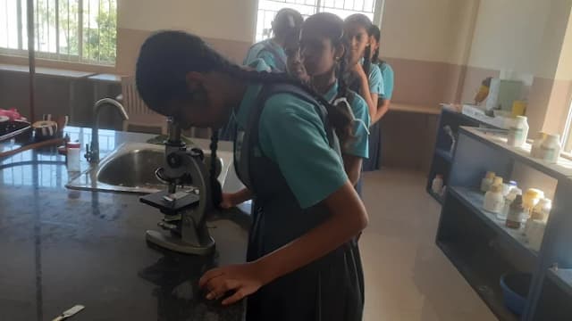 Sri Chaitanya School Gallery