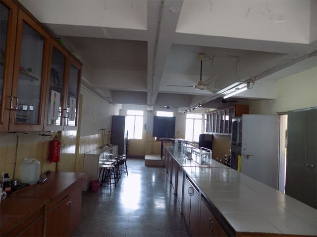 Guru Nanak Public School Gallery