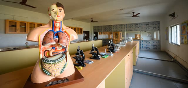 St. Francis Academy Gallery