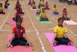 Apeejay School Gallery