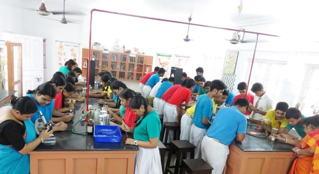 Maharshi Vidya Mandir School Gallery