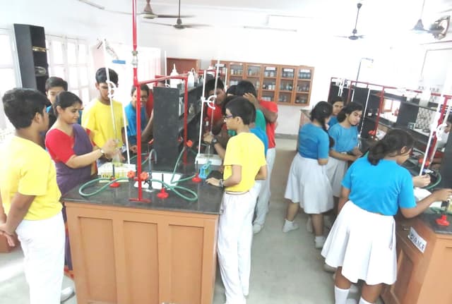 Maharshi Vidya Mandir School Gallery