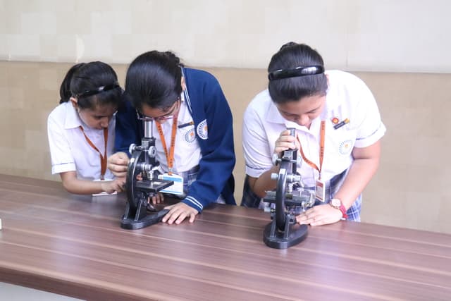 Mahadevi Birla World Academy Gallery