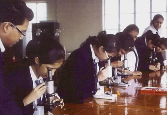 St. Joans School Gallery