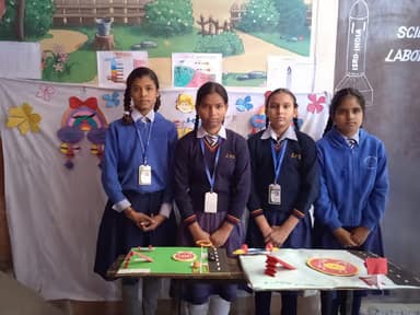 Zenith Public Junior High School Gallery