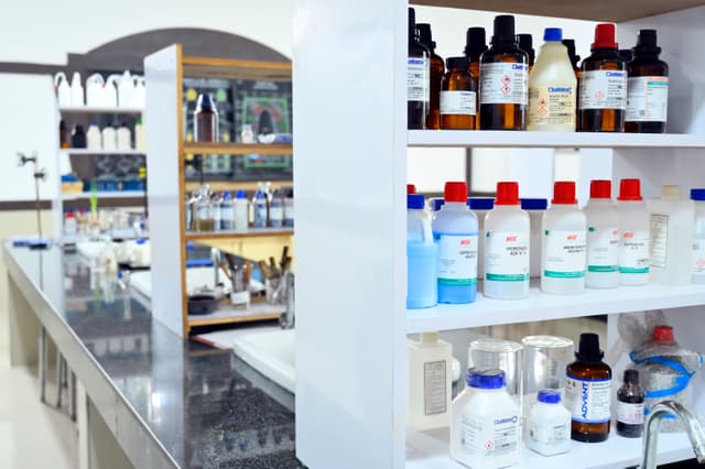 PRESIDIUM School Gallery