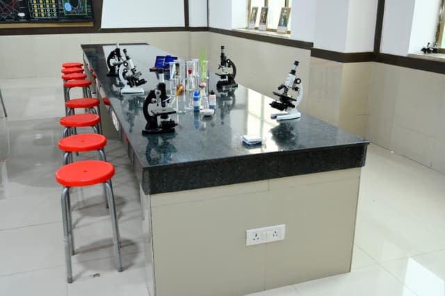 PRESIDIUM School Gallery