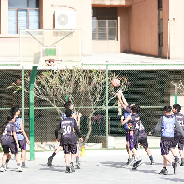 Cambridge School Gallery
