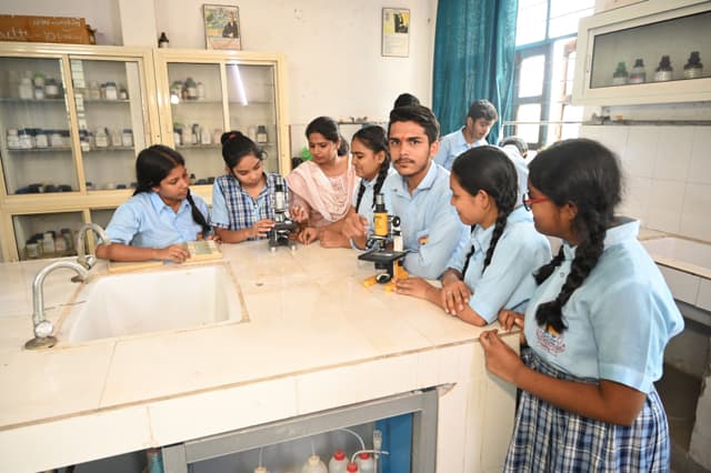 AVR Public School Gallery