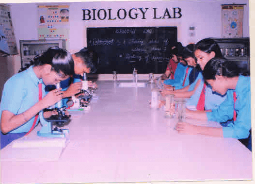 Urmila Public Senior Secondary School Gallery