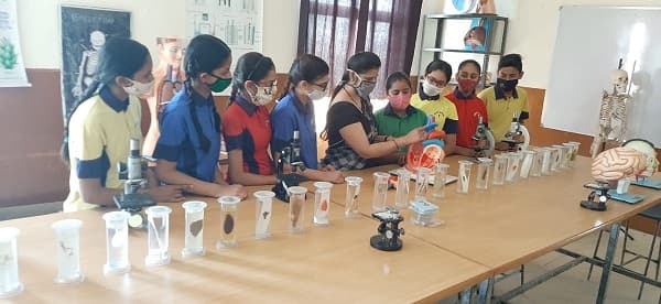 Torch Bearer Convent School Gallery