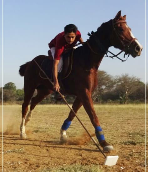 Sainik School Gallery