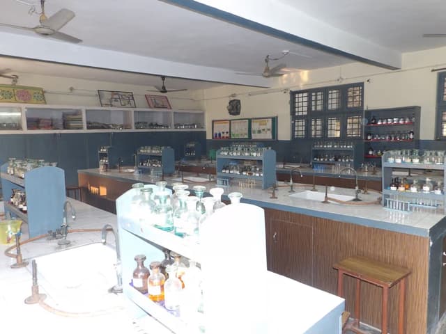 St. Teresa's Academy Gallery