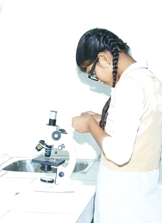 J.K. International Public School Gallery