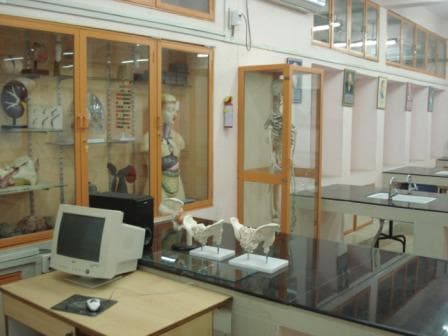 Sainik School Gallery