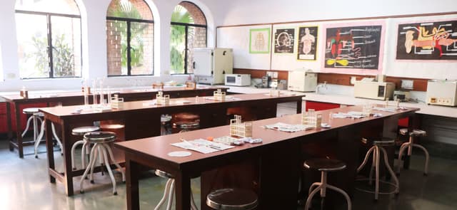 Modern School Gallery