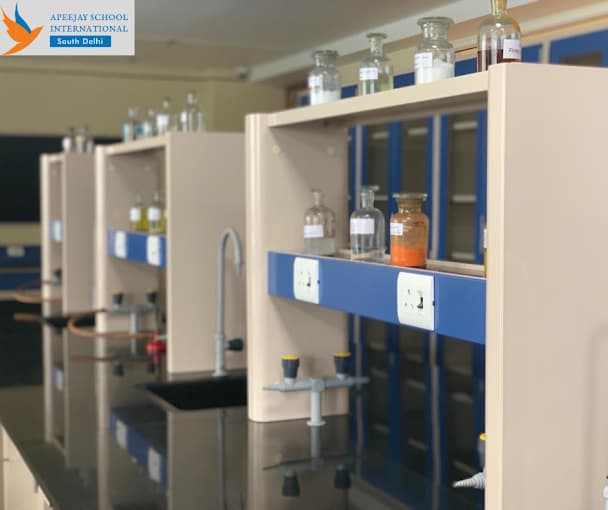 Apeejay School International Gallery