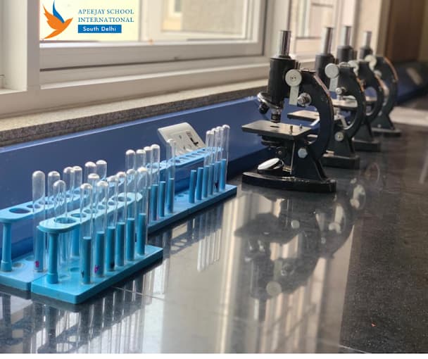 Apeejay School International Gallery