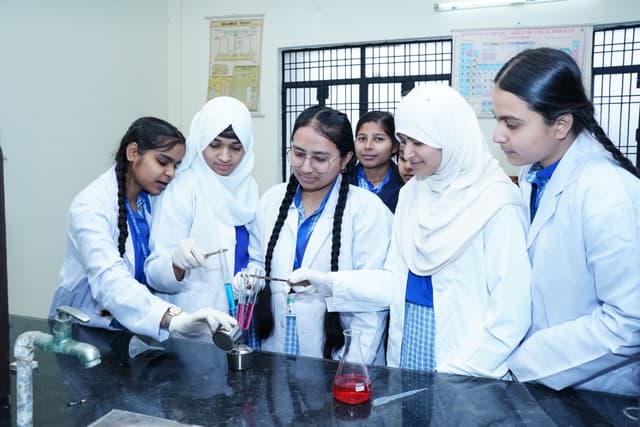 Safa Public School Gallery