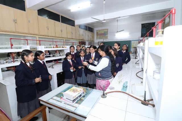 Rani Laxmi Bai Memorial Senior Secondary School Gallery