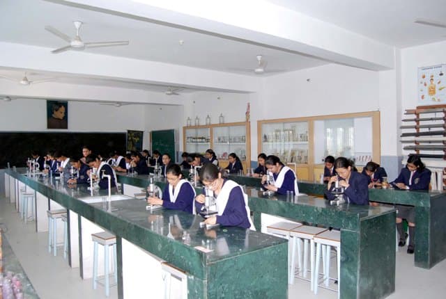 Rani Laxmi Bai Memorial Senior Secondary School Gallery