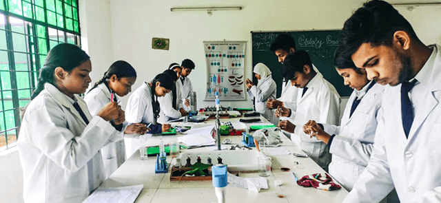 The Bhonwal school Gallery