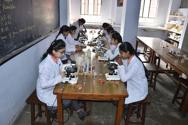 Emma Thompson School Gallery