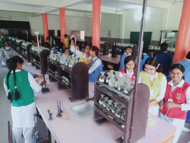 Canossa School Gallery