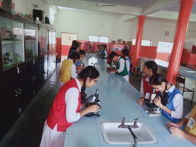 Canossa School Gallery