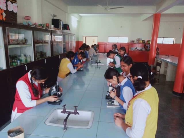 Canossa School Gallery