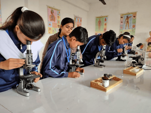 DBS Montessori School
 Gallery