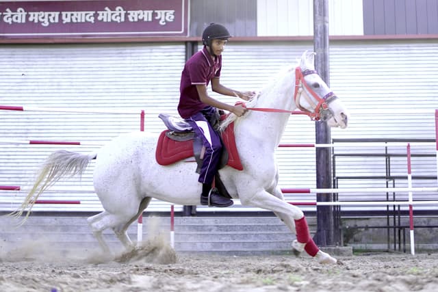 Jhunjhunu Academy Gallery