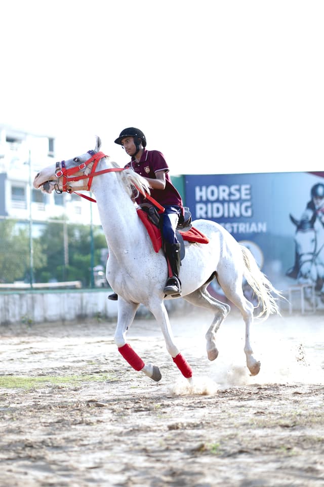 Jhunjhunu Academy Gallery
