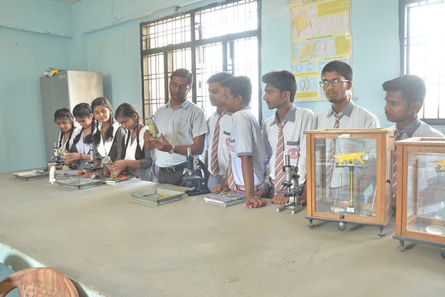 Allahabad Public School
 Gallery