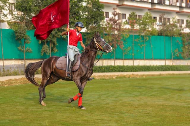 The TonsBridge School Gallery