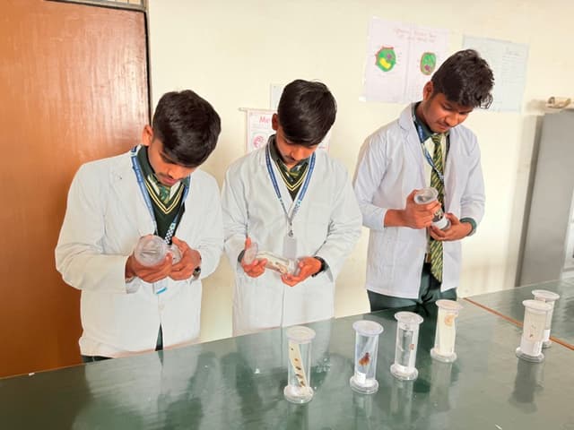 Trinity International Public School Gallery