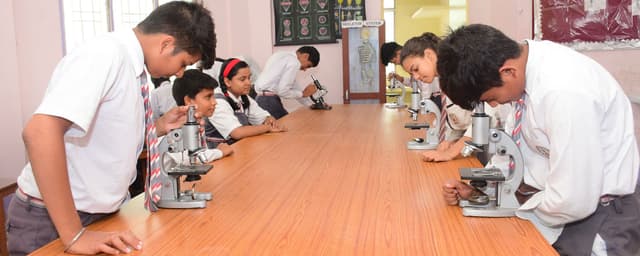 Pioneer Montessori Inter College Gallery